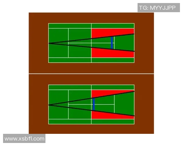 网球运动的技战术解析与发展趋势探讨
